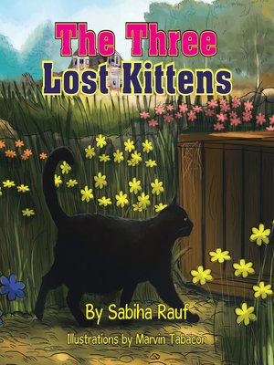 cover image of The Three Lost Kittens